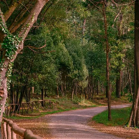 Pajaro فيغيورا دا فوز