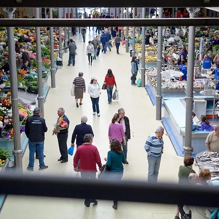 Pajaro فيغيورا دا فوز