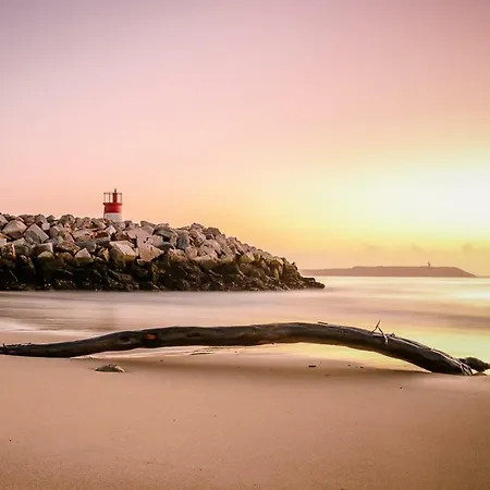 Pajaro فيغيورا دا فوز