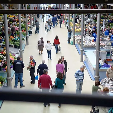 Pajaro Apartamento Figueira da Foz