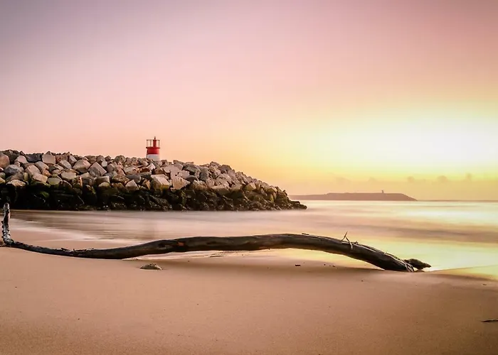 Pajaro Figueira da Foz